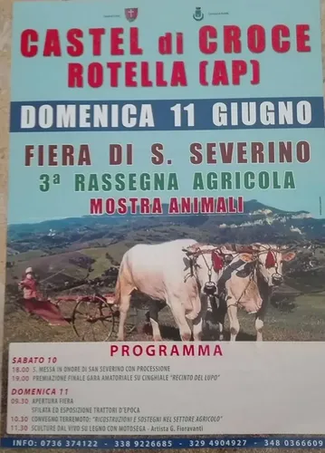 Fiera di San Severino