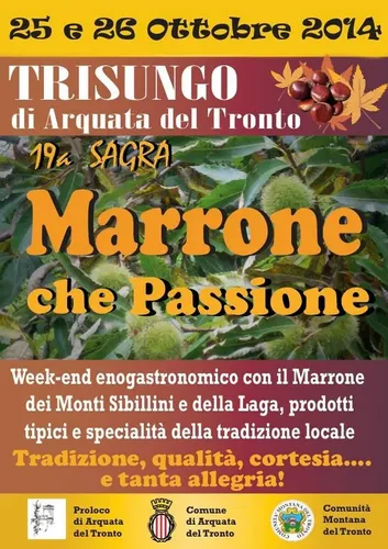 Marrone che Passione