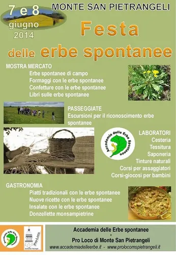 Festa delle Erbe Spontanee